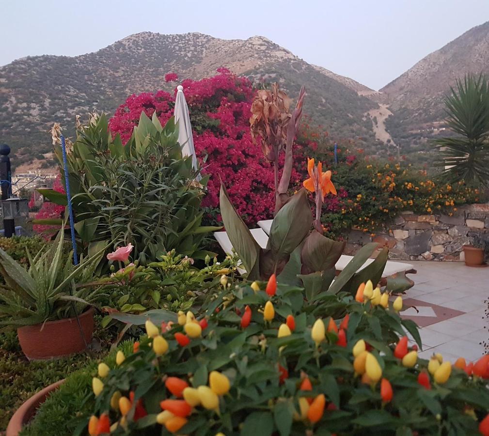 Sea Flower Villa Bali Crete Vlikhadha ภายนอก รูปภาพ