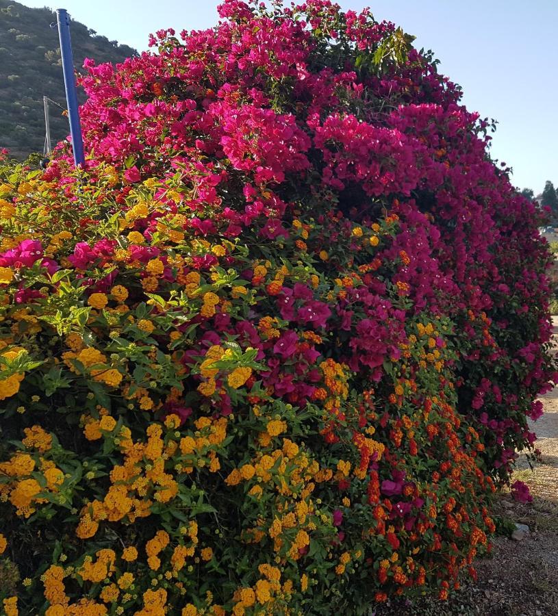 Sea Flower Villa Bali Crete Vlikhadha ภายนอก รูปภาพ